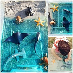 Le bac sensoriel de la mer